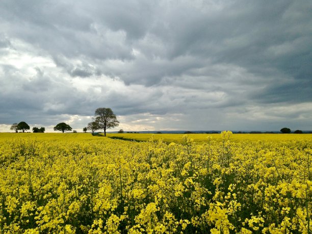 发光领域图片下载