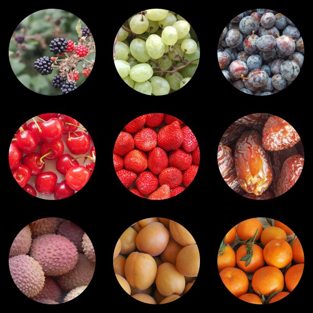 水果食物拼贴图片下载