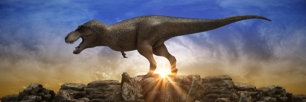 日落时，恐龙在岩石山上。三维渲染图片下载