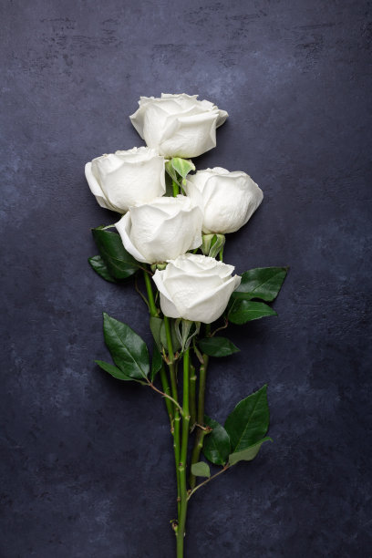 白玫瑰花束在黑色的石头背景图片下载