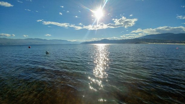 水面上的阳光图片下载