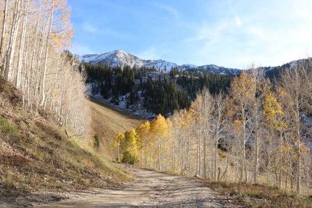 秋色的瓦萨奇山脉与灰尘的雪图片下载