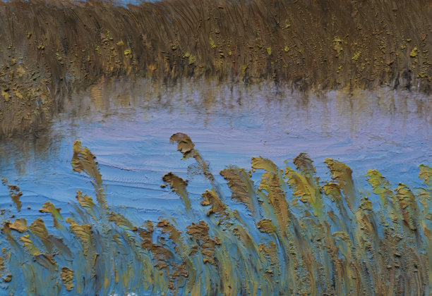 色彩和纹理的背景:芦苇在水中图片下载