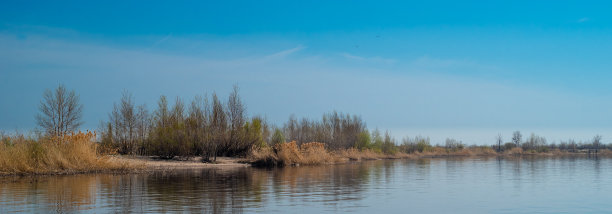 美丽的夏季海洋或河流景观-海滩芦苇和树木，蓝天，夏季背景图片下载