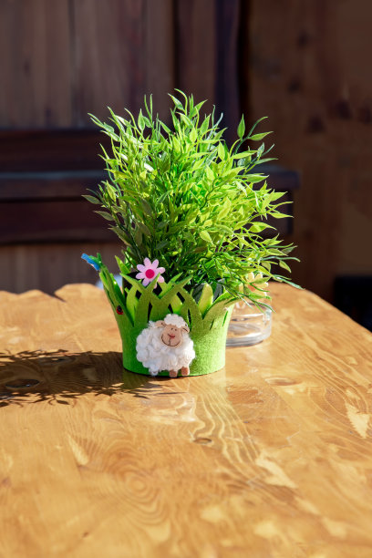 竹植物作为餐桌装饰图片下载