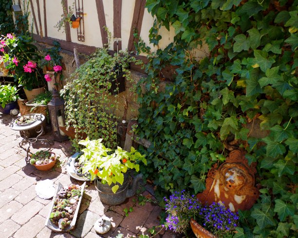 在农场花园的角落有美丽的种植和装饰图片下载