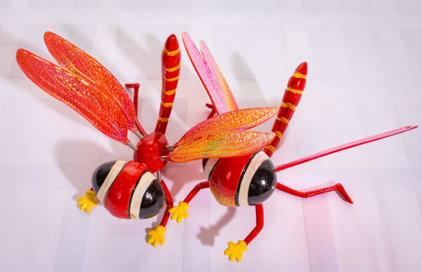 装饰用玩具蜻蜓图片下载