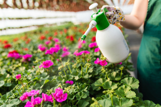 在温室工作的妇女图片下载