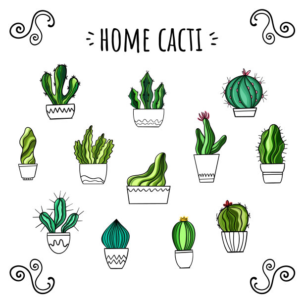 家庭仙人掌的矢量集。手绘的风格。可爱的贴纸。图片下载