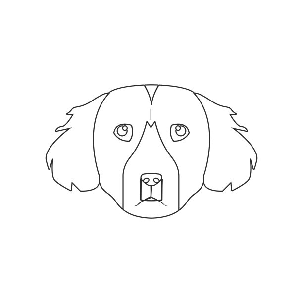 Setter脸图标。狗元素的移动概念和web应用图标。轮廓线、细线图标用于网站设计开发、应用程序开发图片下载