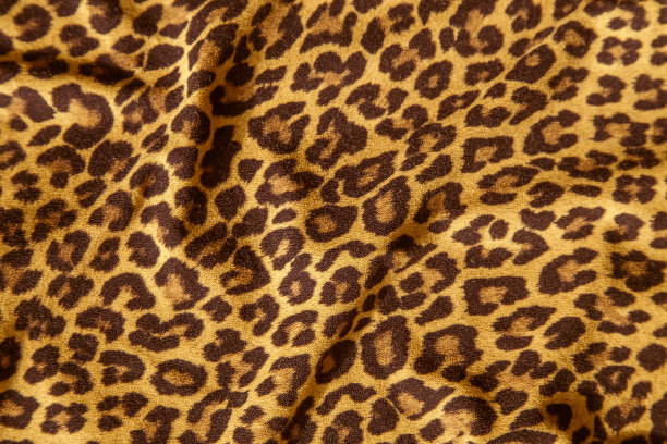 豹纹动物纹理材料图片下载