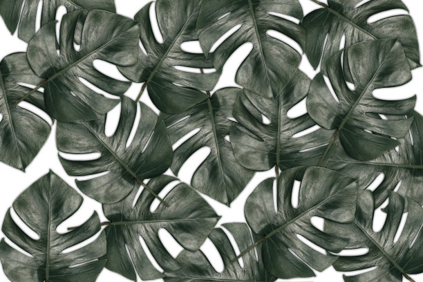 无缝图案绿色怪物离开背景。抽象的自然纹理。图片下载