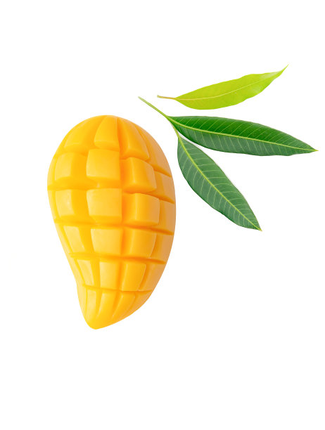 黄色芒果果实和叶子分离图片下载