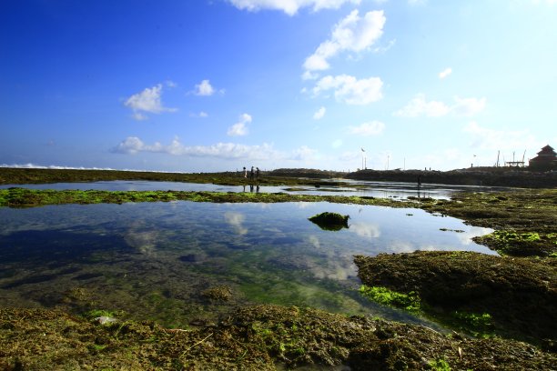 反映视图图片下载