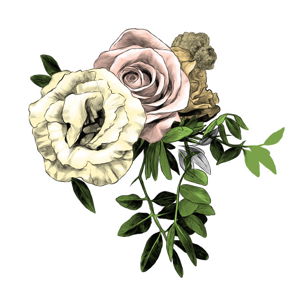 插花玫瑰和小叶子图片下载