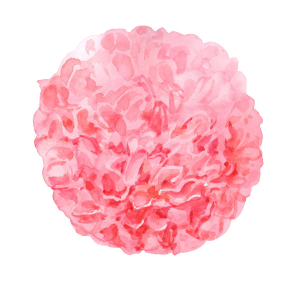 粉色纸灯笼和水彩画绒球图片下载