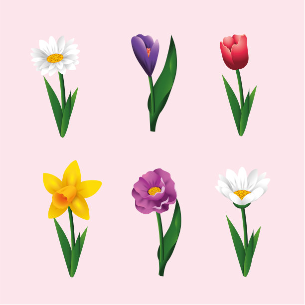 种植奇异的花卉和玫瑰图片下载