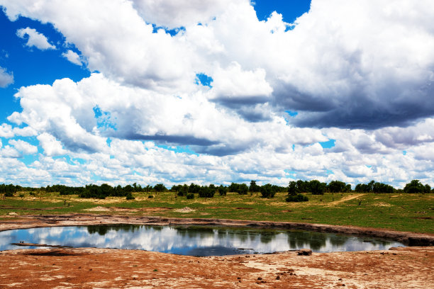 津巴布韦万基国家公园的水坑图片下载