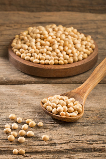 干大豆-甘氨酸最大图片下载