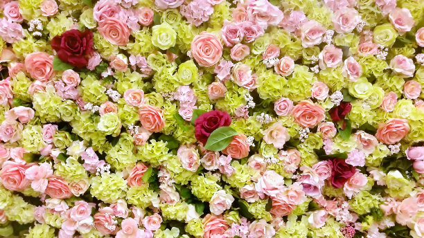 花的背景图片下载