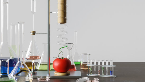 在实验室设置中修改番茄图片下载