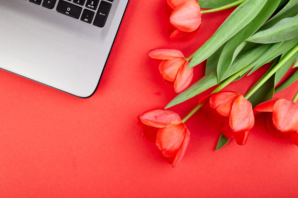 女性或女性的工作空间里有笔记本电脑图片下载