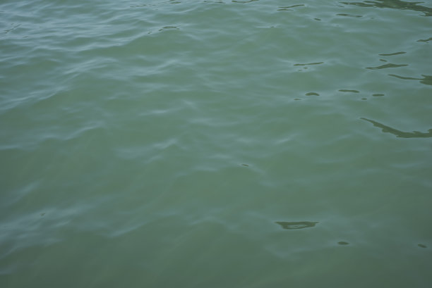 拉那湾的海面。图片下载