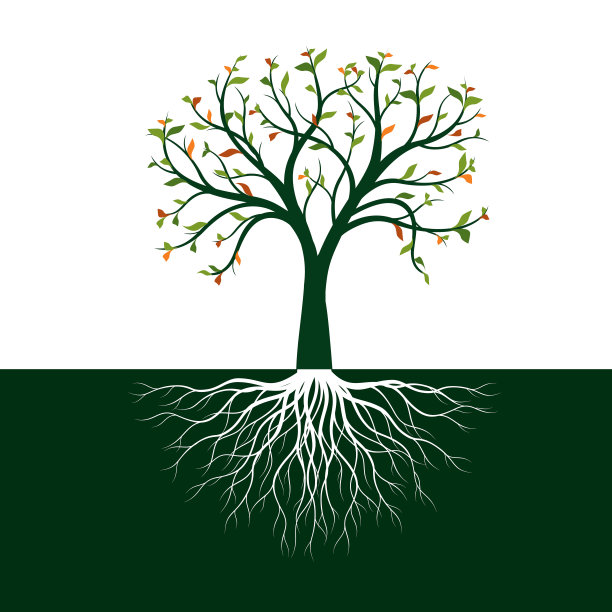 白色背景上有根的绿树。矢量插图。图片下载