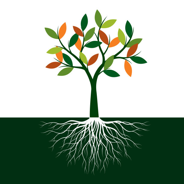 白色背景上有根的绿色树。矢量插图。图片下载