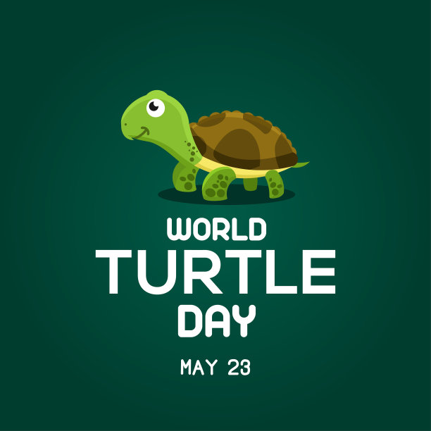 世界海龟日设计插图模板图片下载