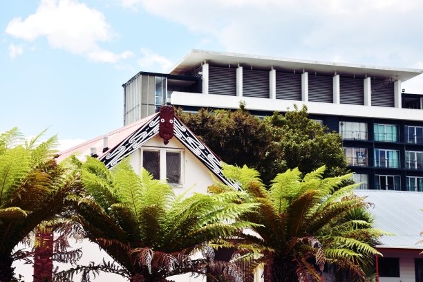 新西兰城市景观景观图片下载