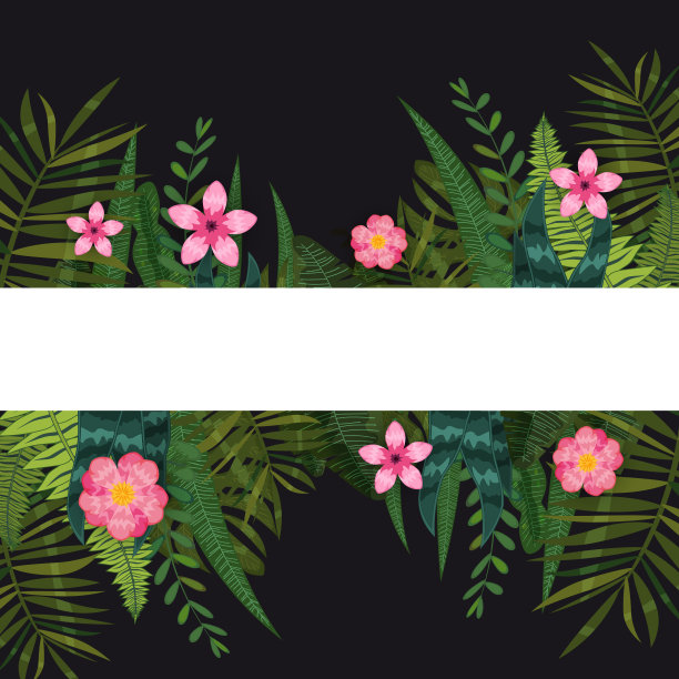 夏季销售时尚的热带叶和花。设计。背景模板的外来植物和芙蓉花。趋势模式丛林。矢量，插图，孤立，海报，横幅，传单，邀请图片下载