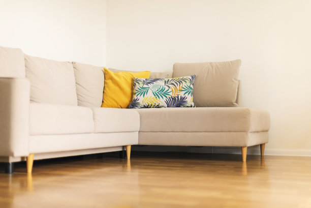 现代的米色沙发，黄色和蓝色的枕头，热带棕榈树，怪物图案的客厅与白色的墙壁。复制空间设计室内。图片下载