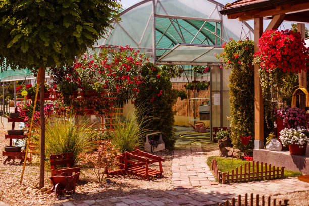 花园中心外图片下载