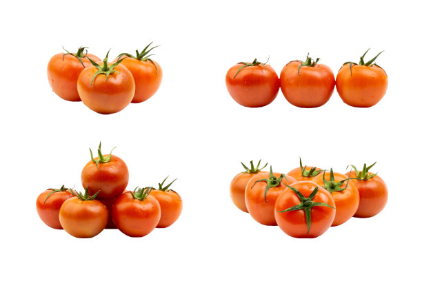 白色背景上的番茄特写。图片下载