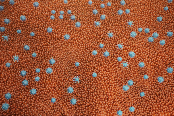 肠绒毛，肠粘膜。肠道内的细菌和微生物。显微绒毛和毛细血管。人类肠道，慢性疾病。肝炎病毒，流感，细胞感染，3D渲染图片下载