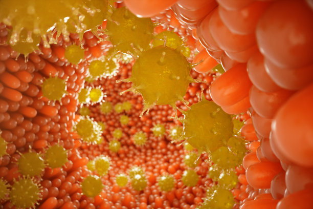 肠绒毛，肠粘膜。肠道内的细菌和微生物。显微绒毛和毛细血管。人类肠道，慢性疾病。肝炎病毒，流感，细胞感染，3D渲染图片下载