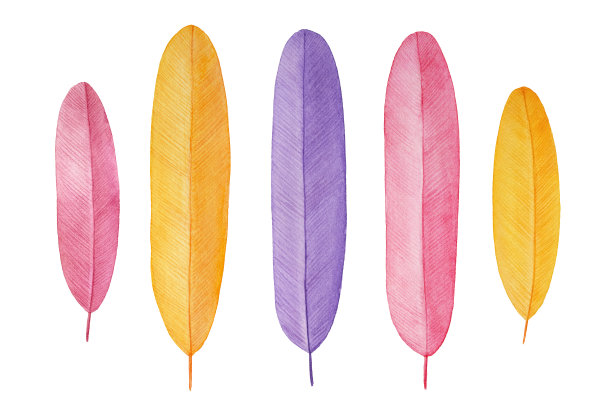 五彩缤纷的美丽装饰羽毛。各种颜色(粉色、紫色、淡紫色、黄色)。图片下载