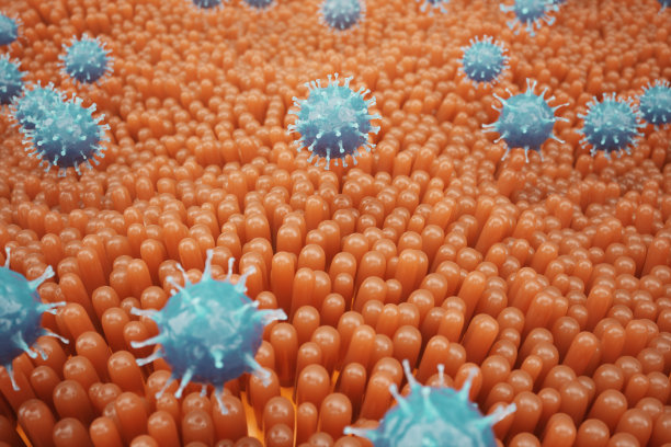 肠绒毛，肠粘膜。肠道内的细菌和微生物。显微绒毛和毛细血管。人类肠道，慢性疾病。肝炎病毒，流感，细胞感染，3D渲染图片下载