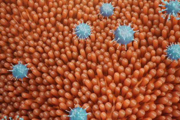 肠道绒毛。肠道粘膜。微观毛细管。人类的肠道。健康或病态肠道的概念。病毒或细菌，细胞感染的生物体，免疫力下降，3D渲染图片下载