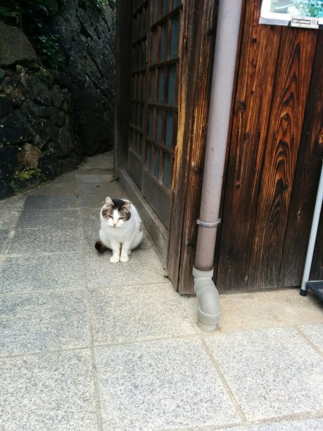 日本尾道旅游图片下载