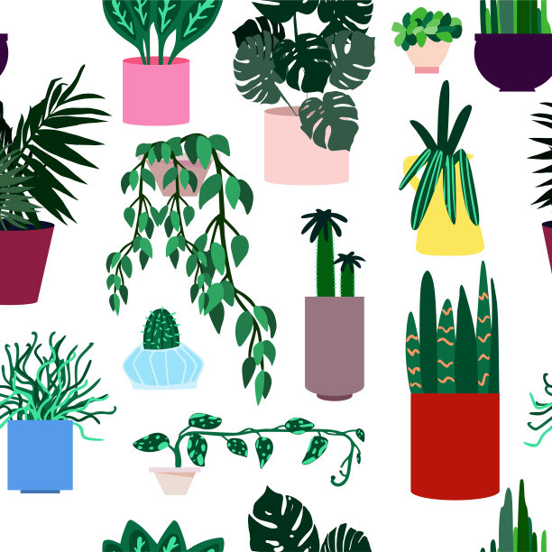 无缝模式与不同的绿色植物在多色的花盆图片下载