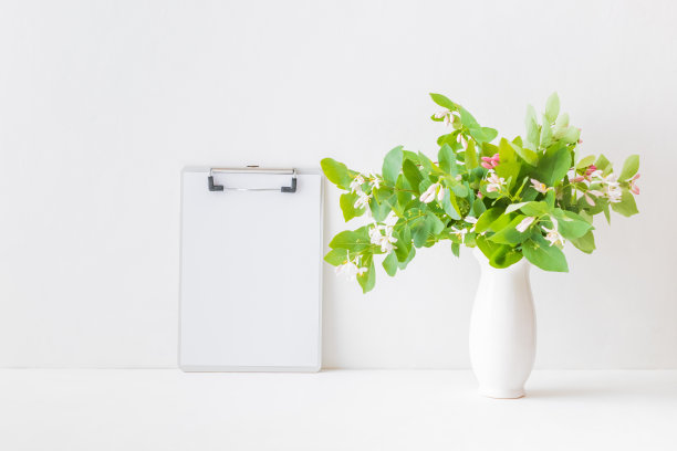 模型与剪贴板和树枝与绿色叶子花瓶在一个白色的桌子上图片下载