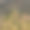 在英国湖区的莱德尔水周围令人惊叹的风景图片在春天的日出图片下载