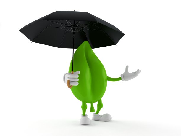 叶性状撑伞图片下载