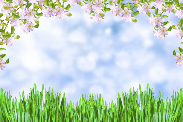 鲜艳多彩的春花图片下载