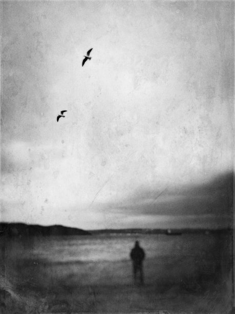 一个人和两只海鸥在海岸线上的单色散焦纹理视图图片下载