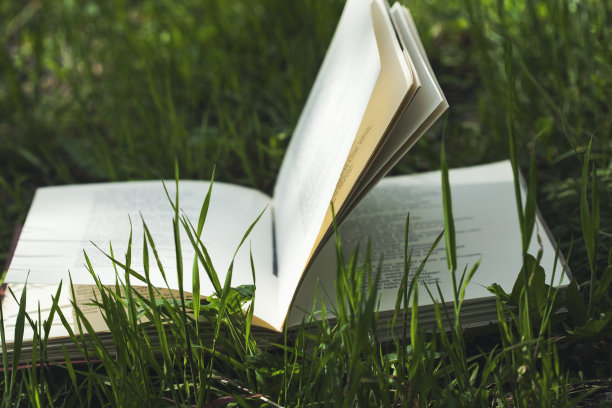 关于绿草的书图片下载