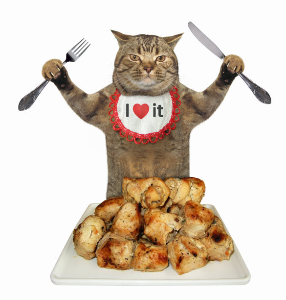 猫吃烤肉图片下载