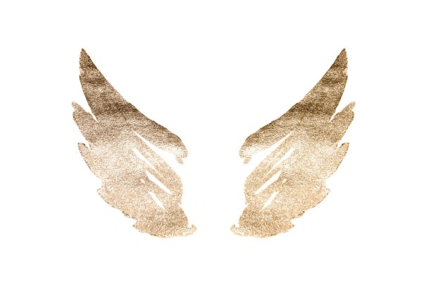 抽象水彩翅膀在复古怀旧色彩图片下载